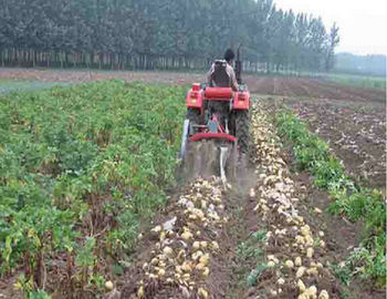 China Pequeño equipo de cultivo de la pequeña escala de la maquinaria agrícola de dos filas proveedor